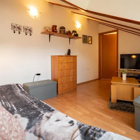 Specious Manitu In Forest Countryside Apartman