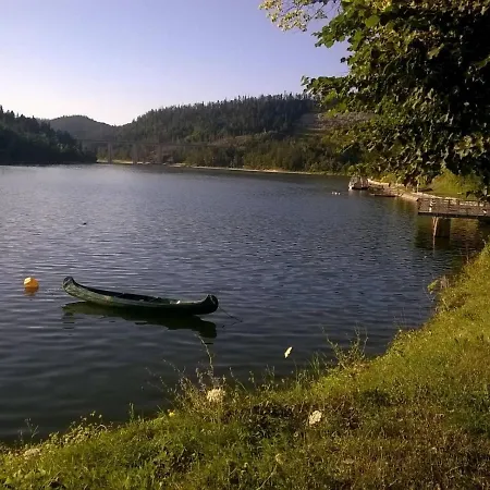 Specious Manitu In Forest Countryside