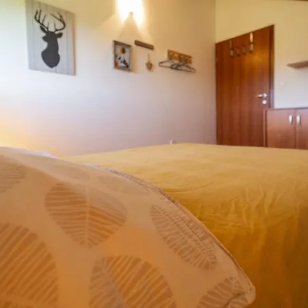 Specious Manitu In Forest Countryside * Fužine