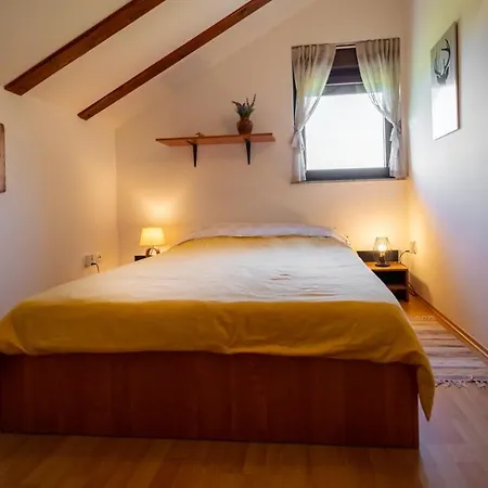 Specious Manitu In Forest Countryside * Fužine