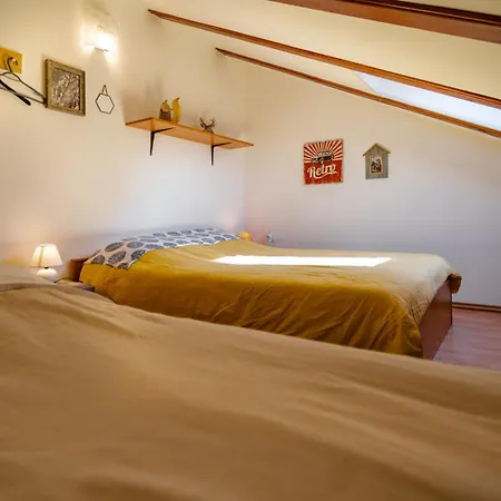 Specious Manitu In Forest Countryside Fužine